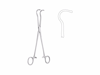 Accessory hook forceps
