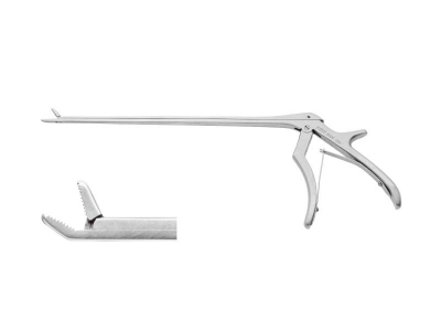 Handle type with pulpal nucleus clamp